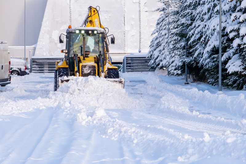 Commercial Snow Plowing detail