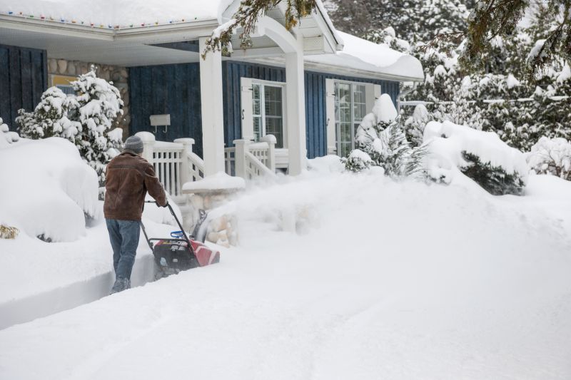 Snow Removal Service detail